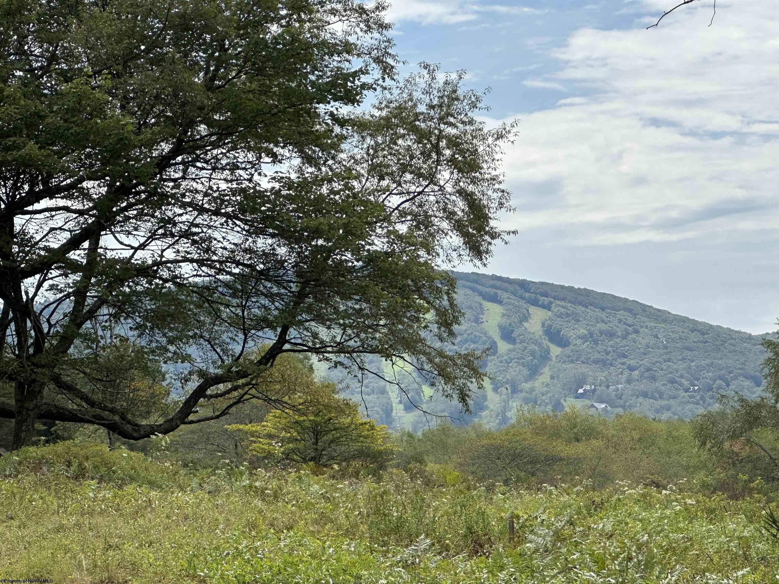 Davis, Tucker County, WV Undeveloped Land, Homesites for sale Property ID 418211238 LandWatch