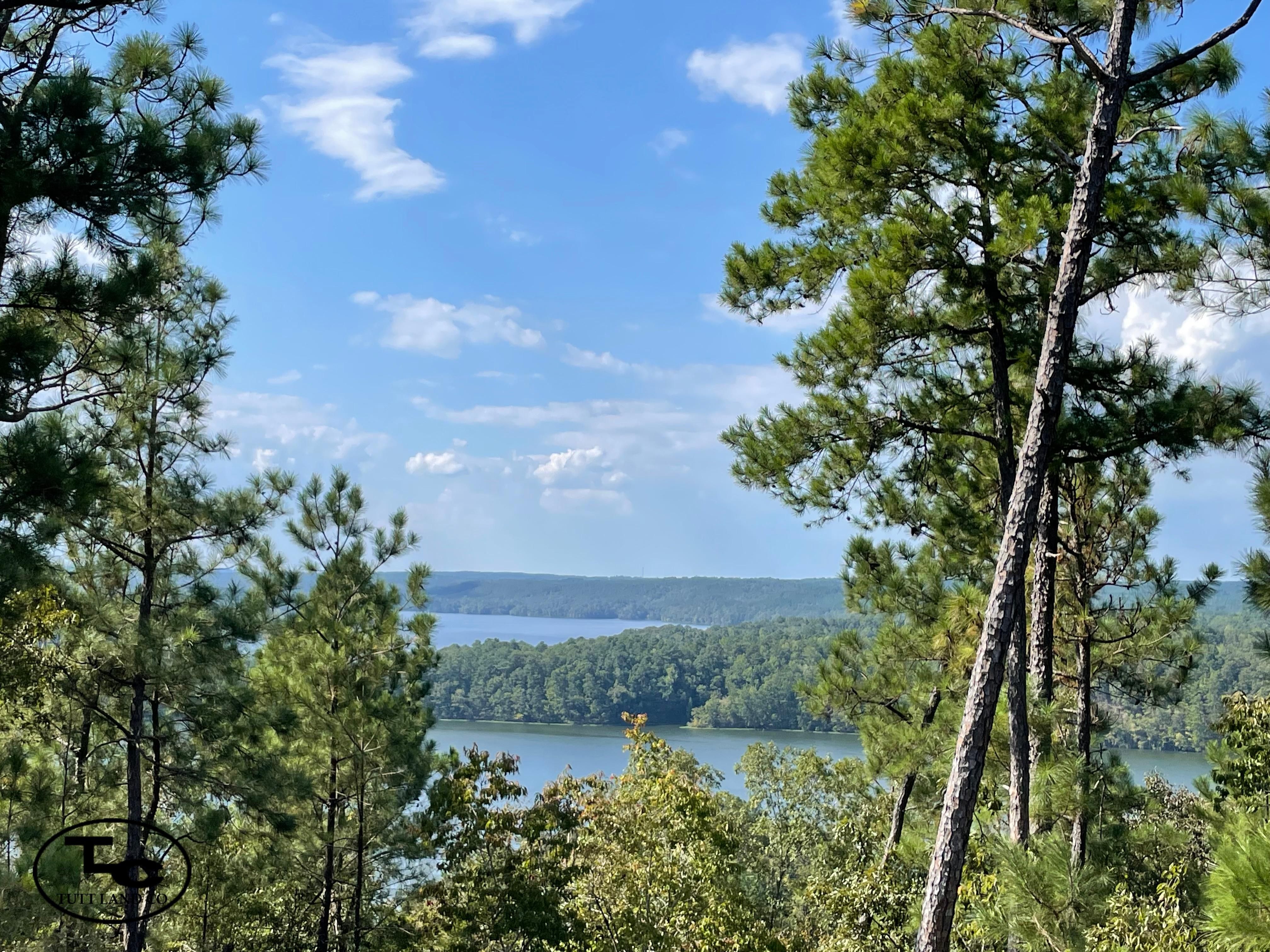 57 acres in Weogufka, AL, 35183 LandWatch