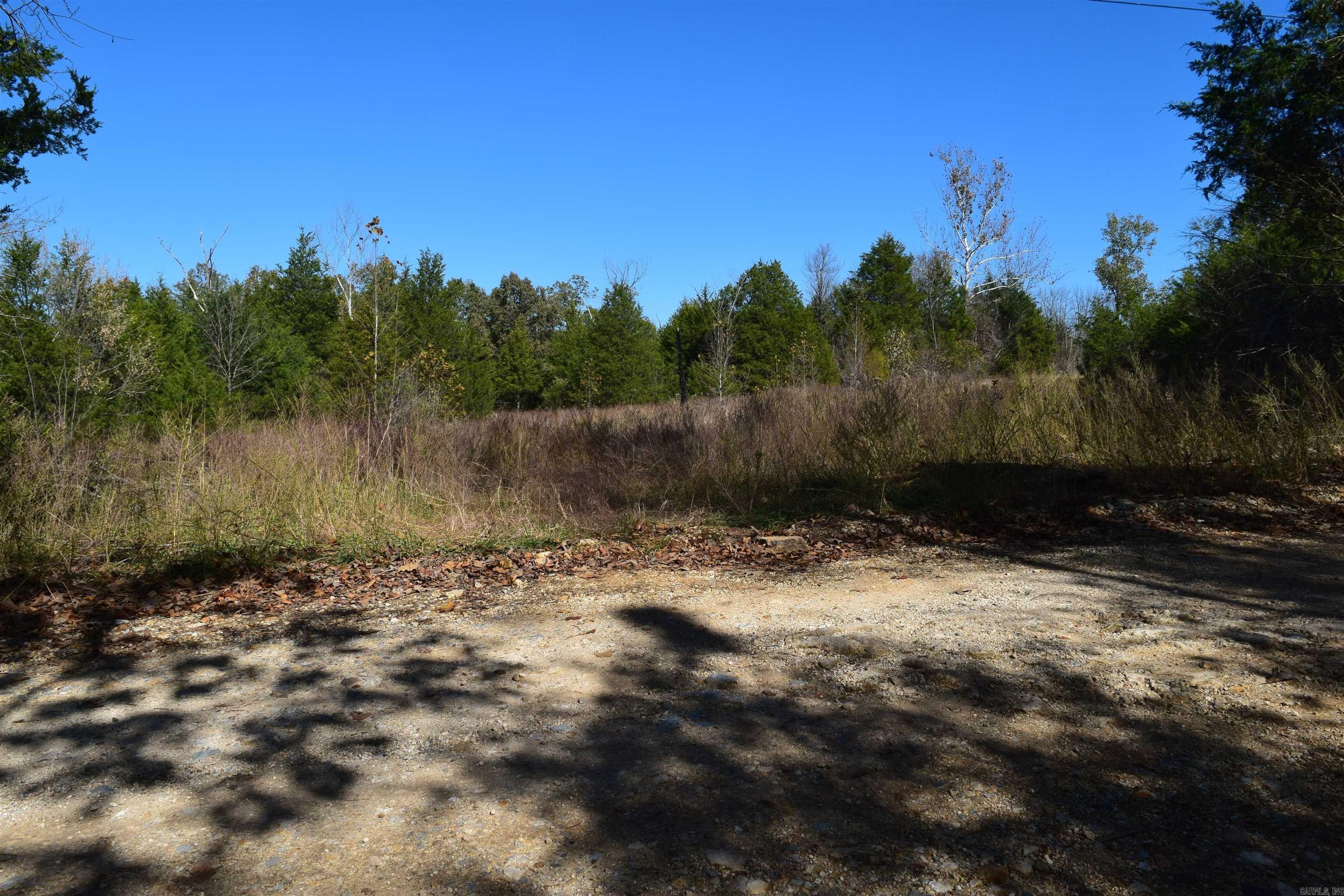 Ravenden, Randolph County, AR Undeveloped Land for sale Property ID