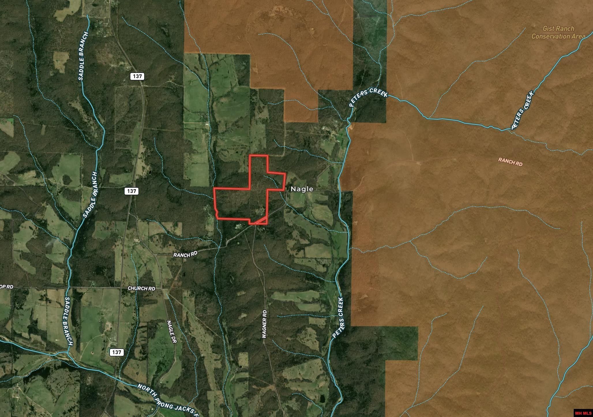 Summersville, Texas County, MO Undeveloped Land for sale Property ID