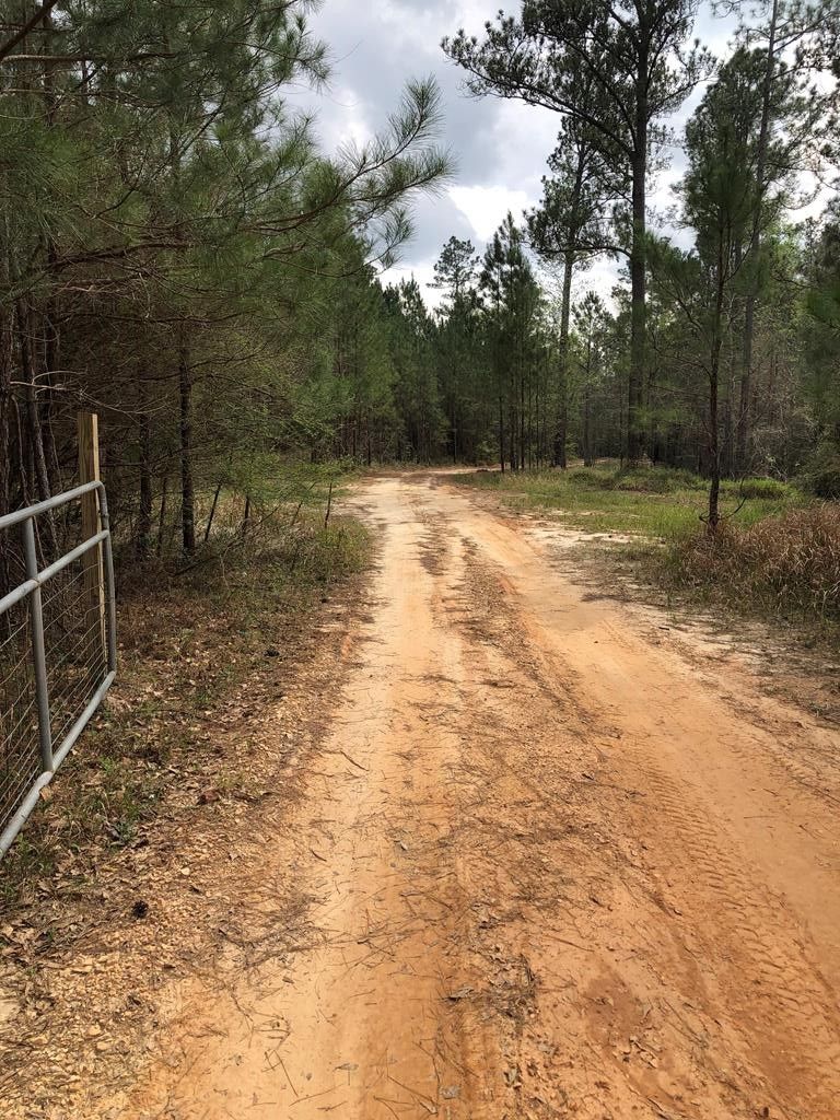 4 Progress Silver Run Rd, Poplarville, MS 39470 MLS 177845 LandWatch