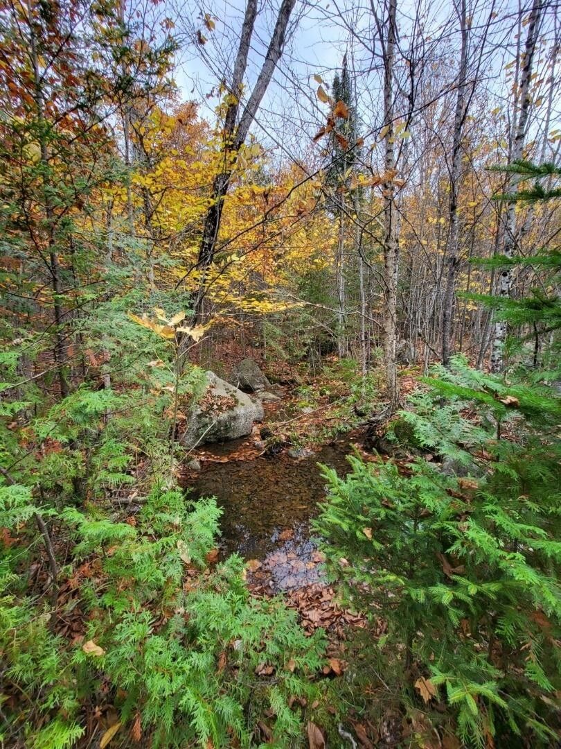 Oakfield, Aroostook County, ME Undeveloped Land for sale Property ID