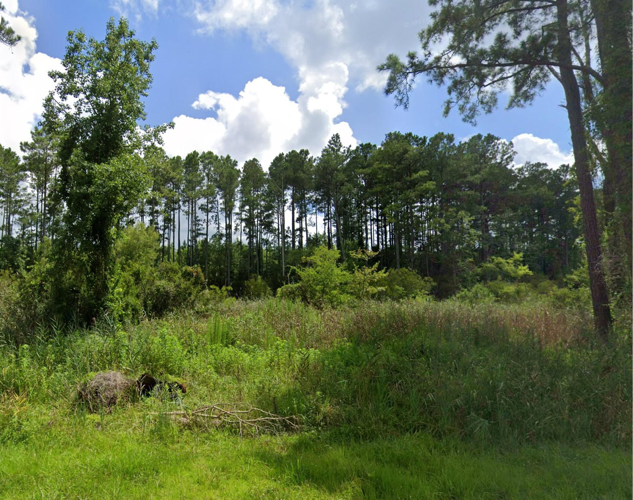 Aurora, Beaufort County, NC Recreational Property, Undeveloped Land