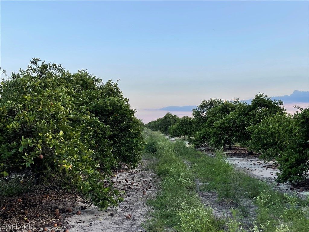 Labelle, Hendry County, FL Undeveloped Land, Lakefront Property