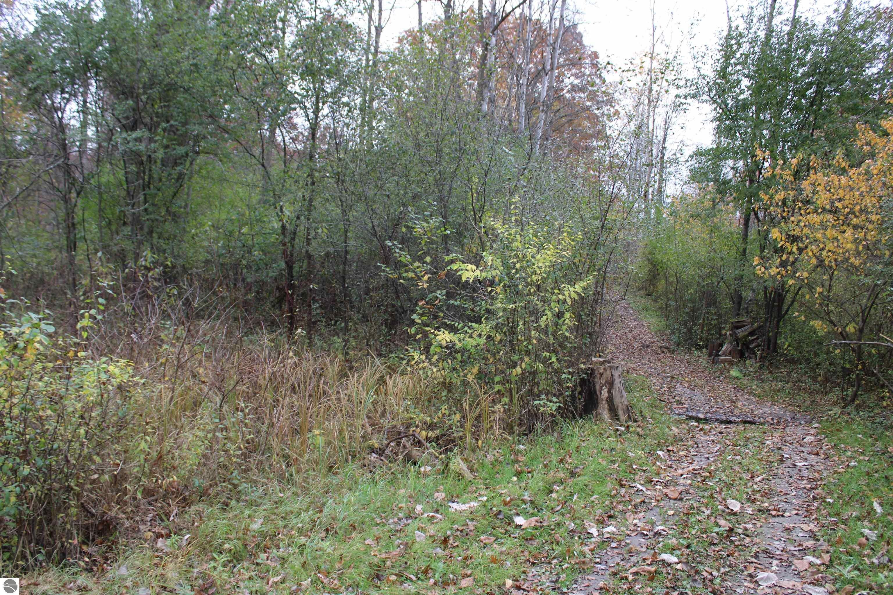 Midland, Midland County, MI Undeveloped Land, Lakefront Property