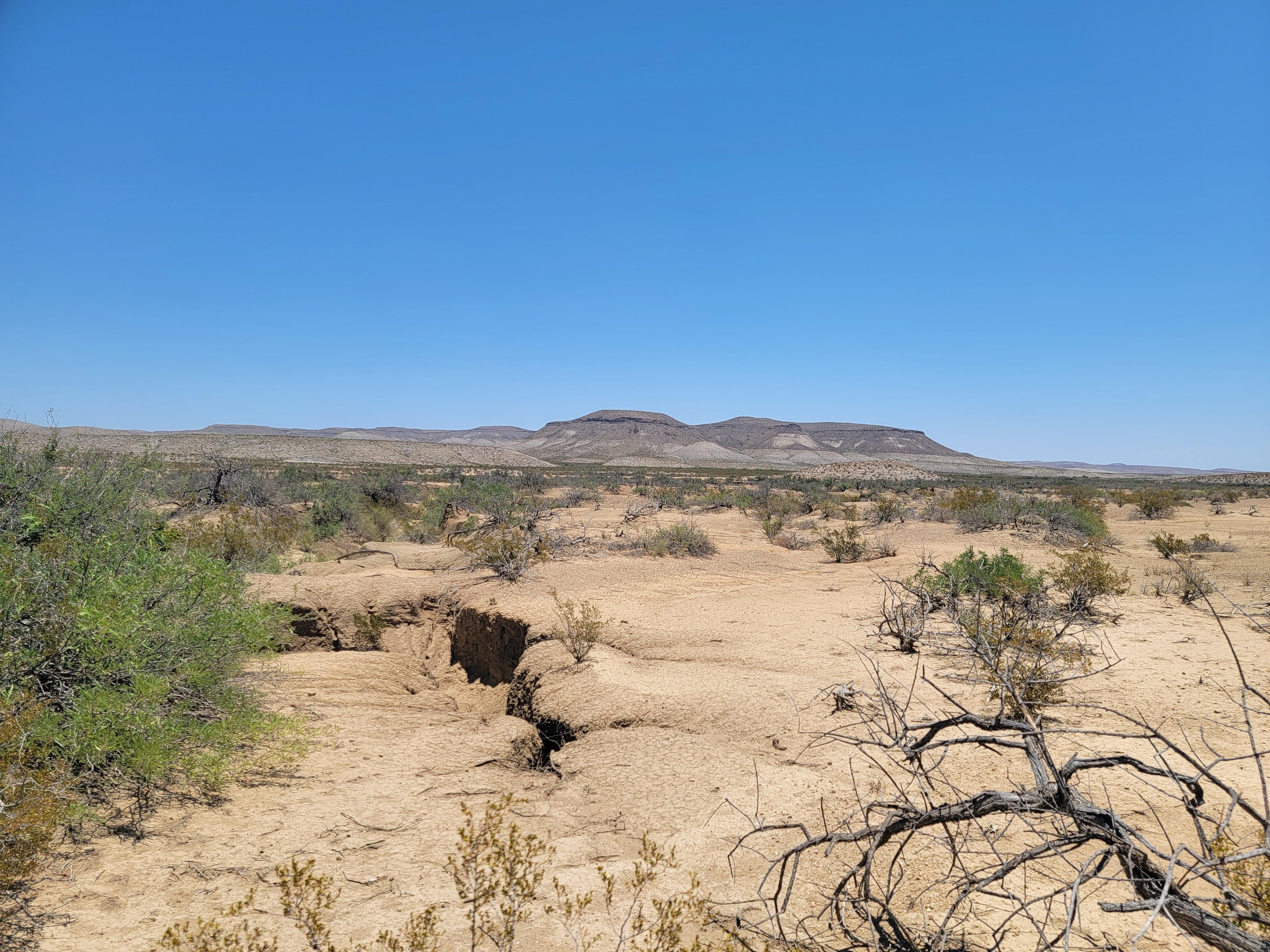 Tract 6700, Terlingua, TX 79852 LandWatch