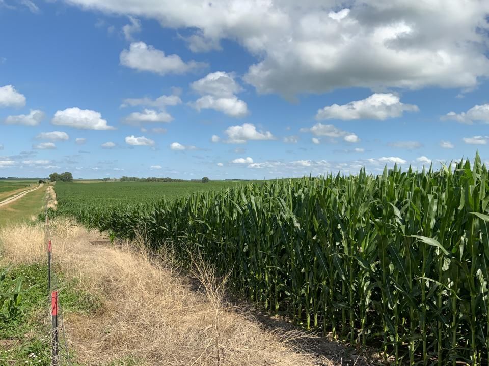 Wessington Springs, Jerauld County, SD Farms and Ranches for auction