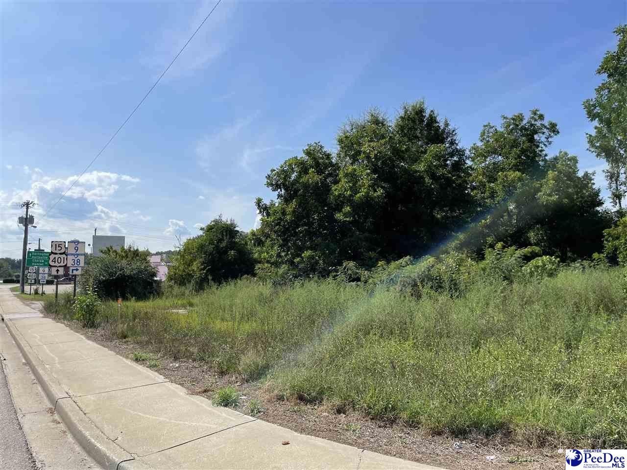 Marlboro County, SC Commercial Property, House for sale