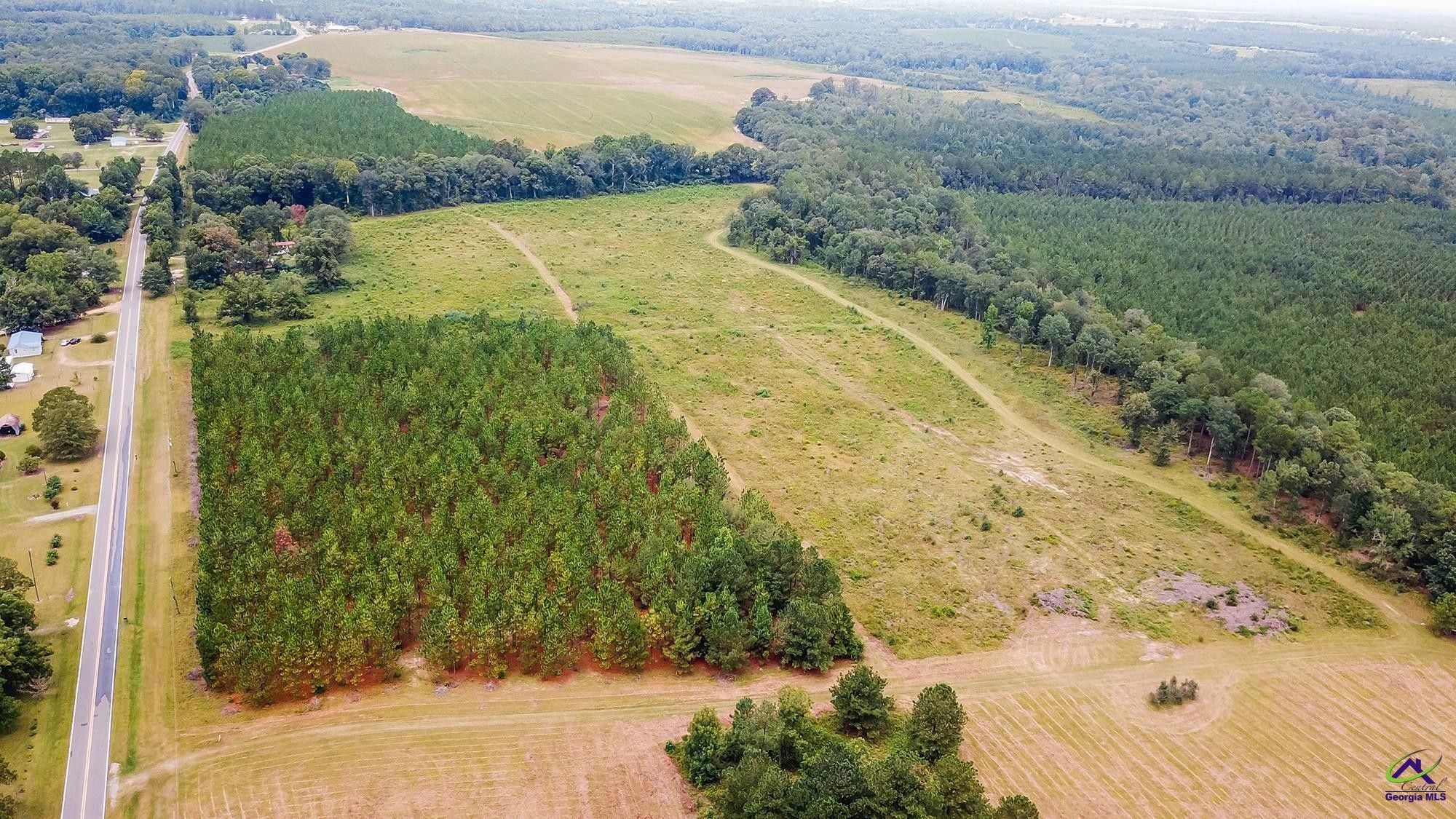 Eastman, Dodge County, GA Undeveloped Land for sale Property ID
