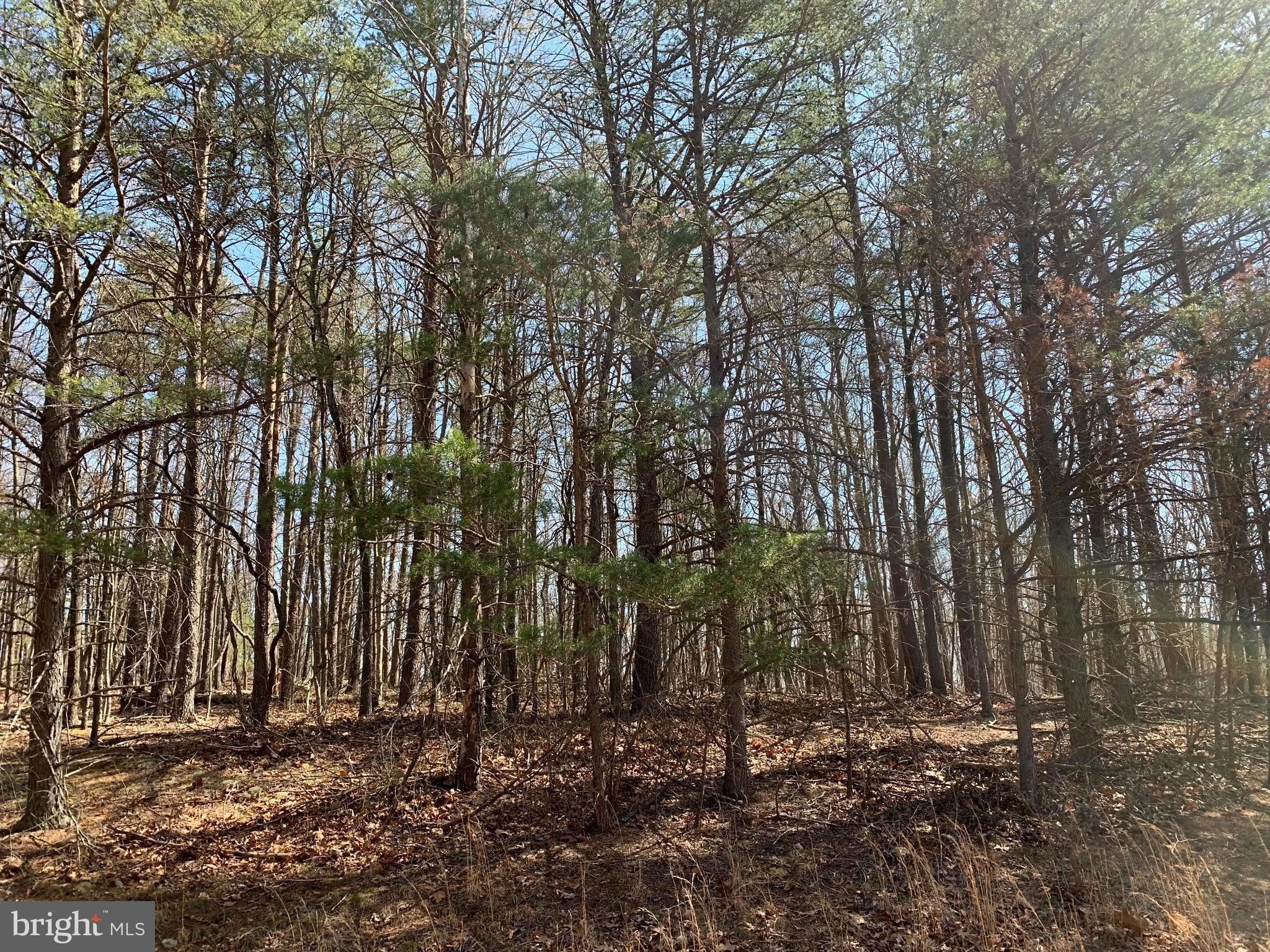 Warfordsburg, Fulton County, PA Undeveloped Land for sale Property ID