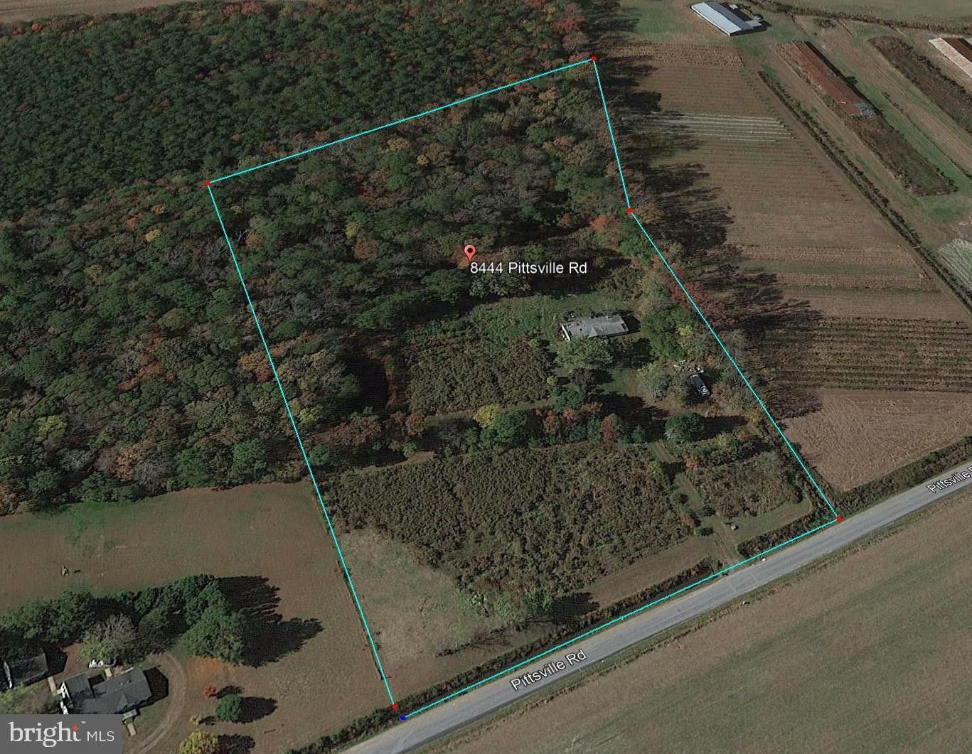 Parsonsburg, County, MD Farms and Ranches for sale Property ID