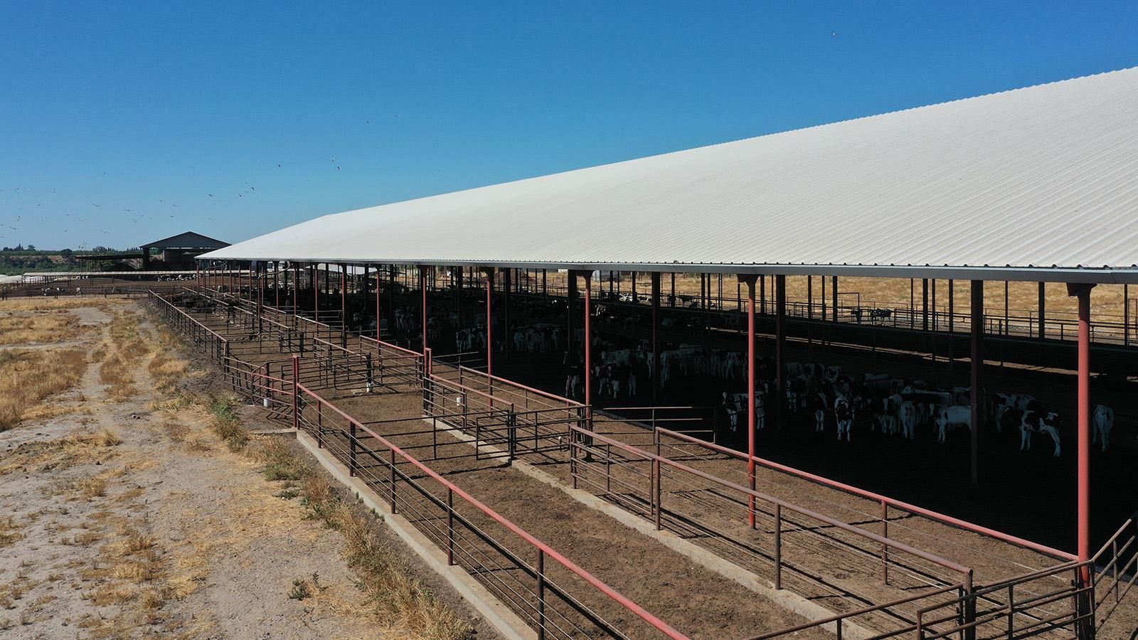 Waterford, Stanislaus County, CA Farms and Ranches, Commercial Property