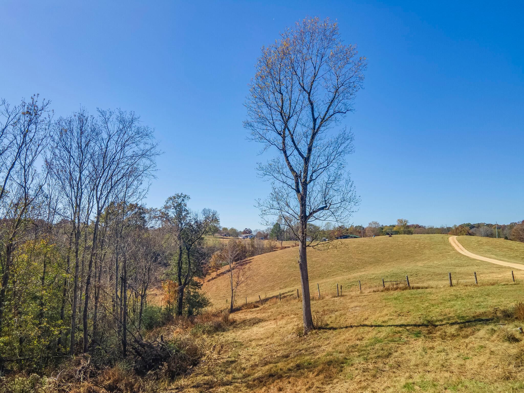 3547 Persimmon Ridge, Williamsport, TN 38487 MLS 2591282 LandWatch