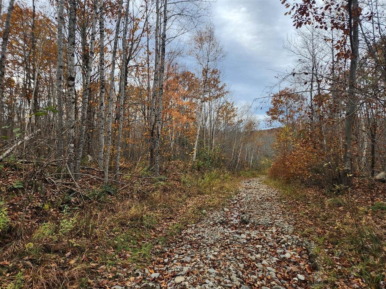 Frankfort, Waldo County, ME Undeveloped Land for sale Property ID