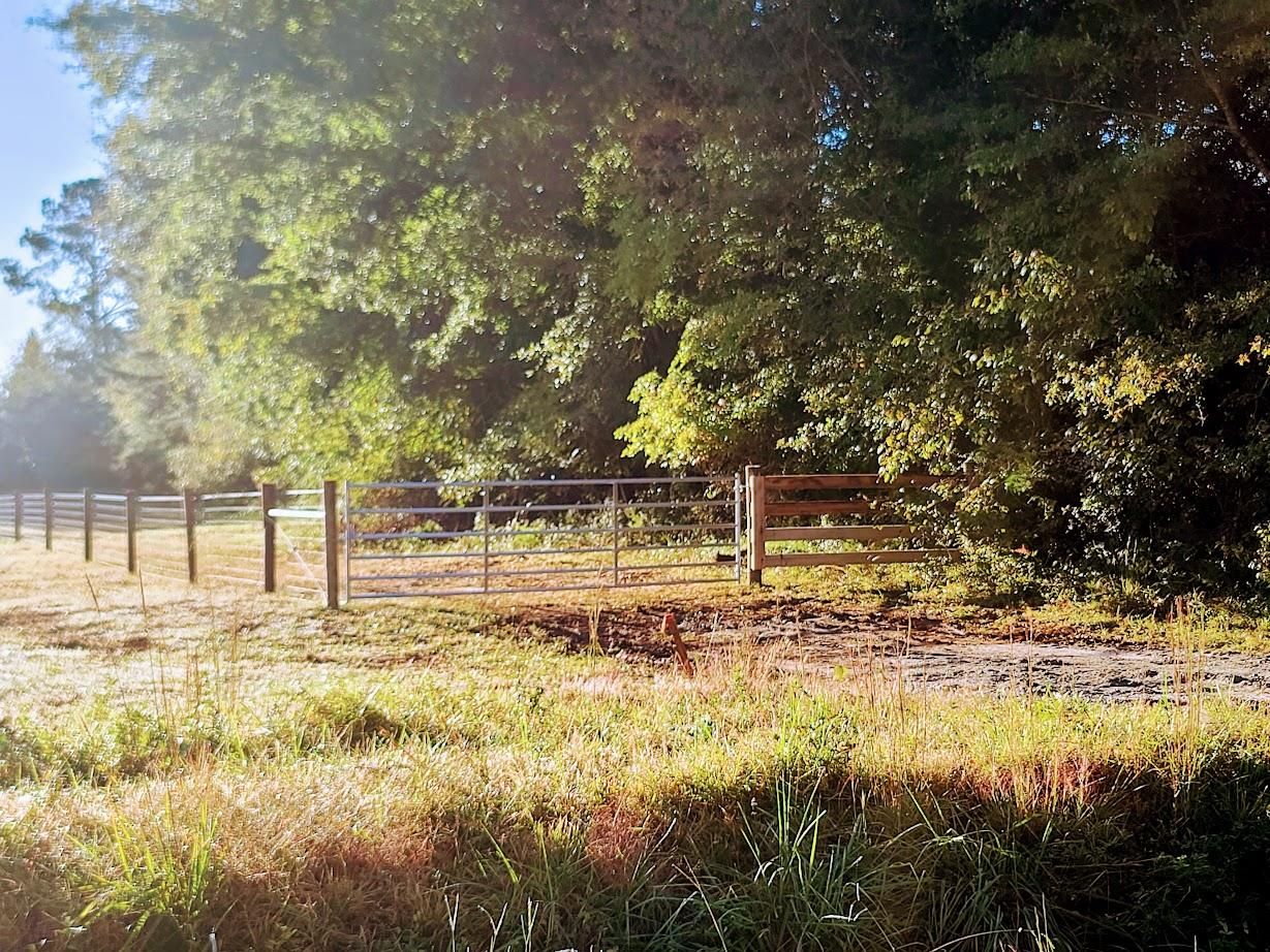 Donalds, Greenwood County, SC Recreational Property, Timberland