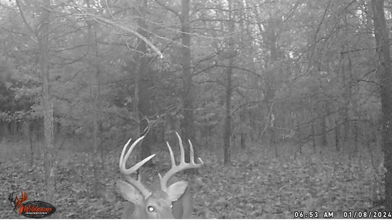 Stone Fort, Saline County, IL Timberland Property, Hunting Property for