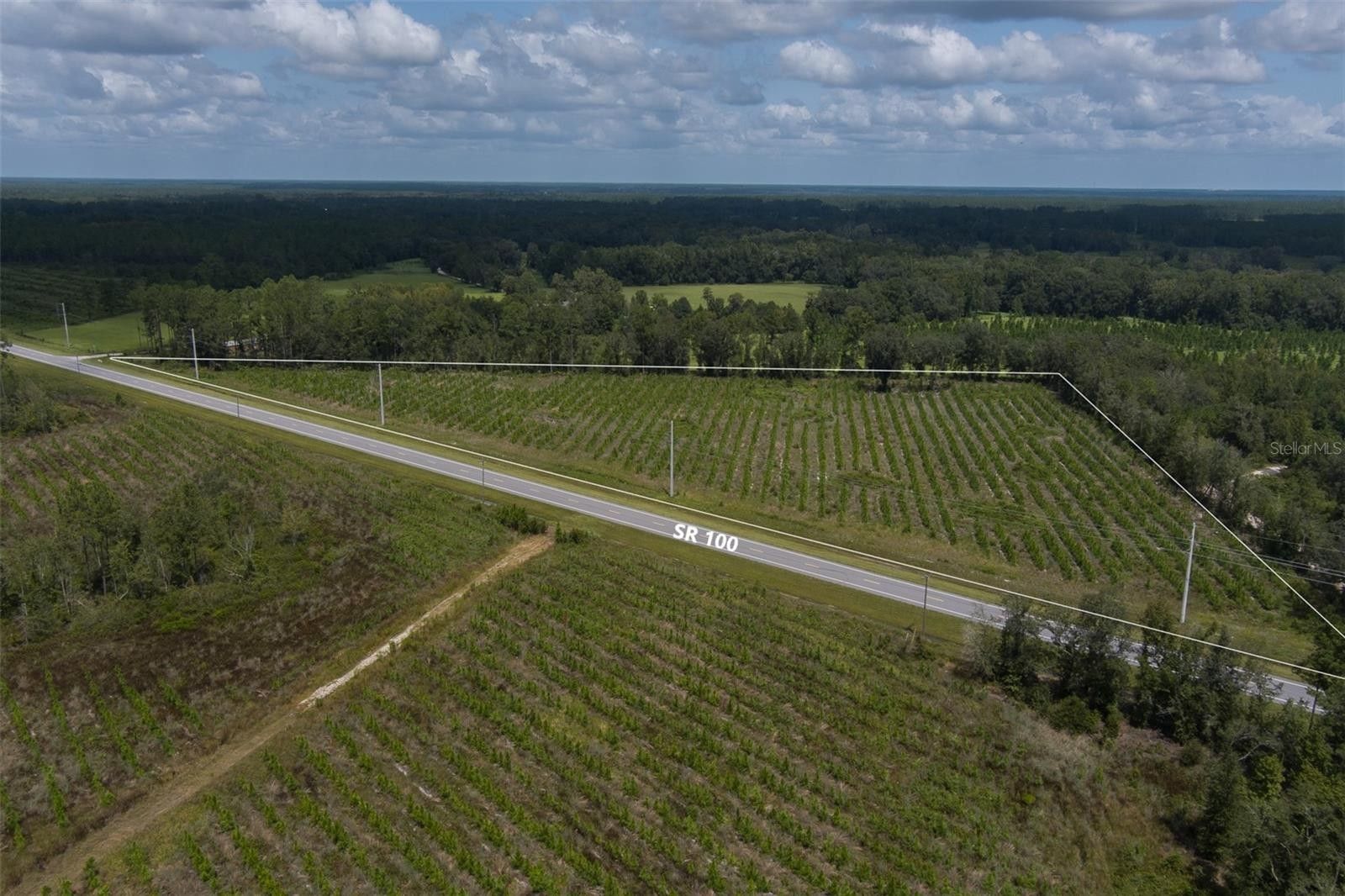 Lake Butler, Bradford County, FL Undeveloped Land for sale Property ID