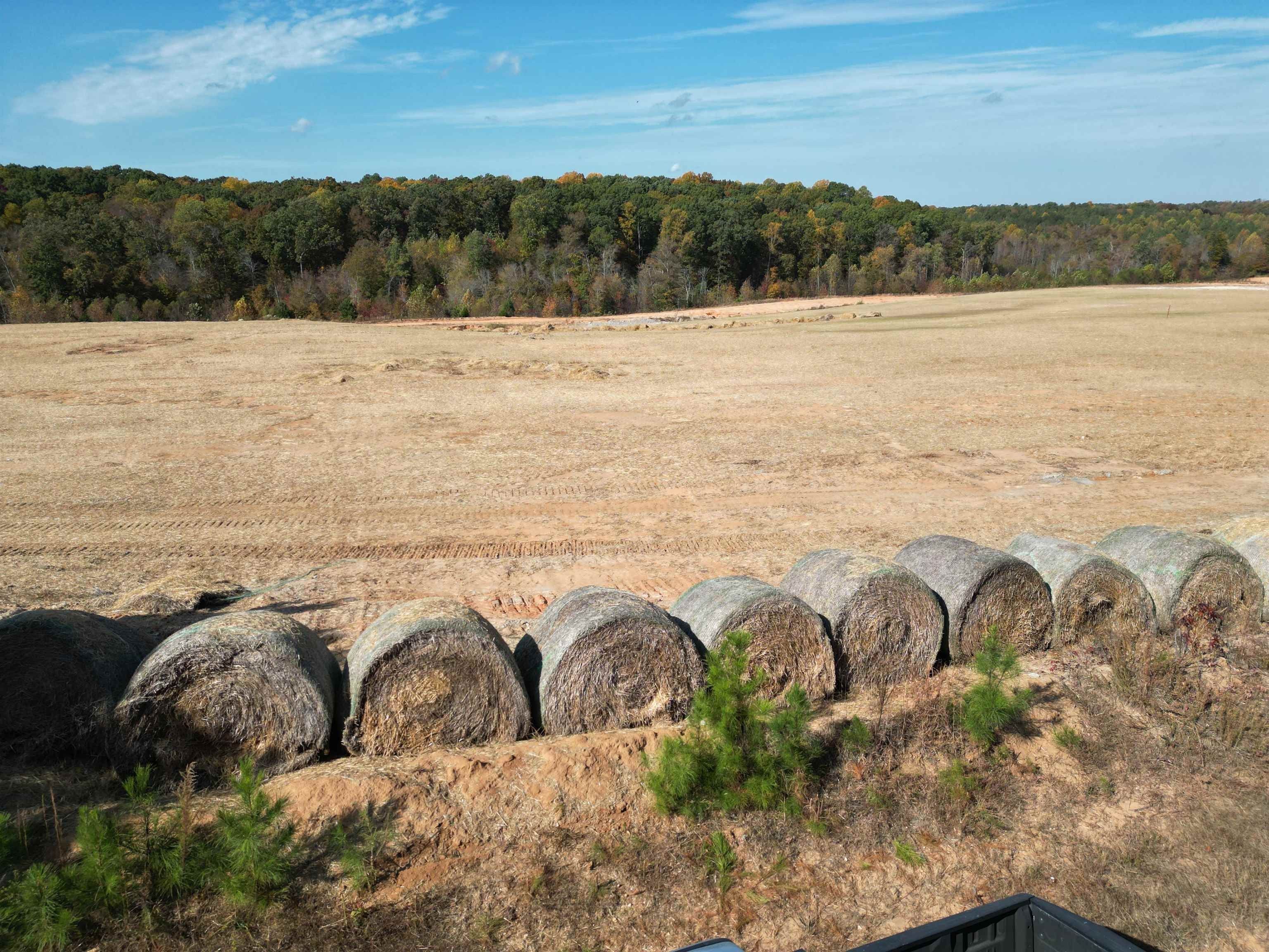 Huntingdon, Carroll County, TN Undeveloped Land for sale Property ID