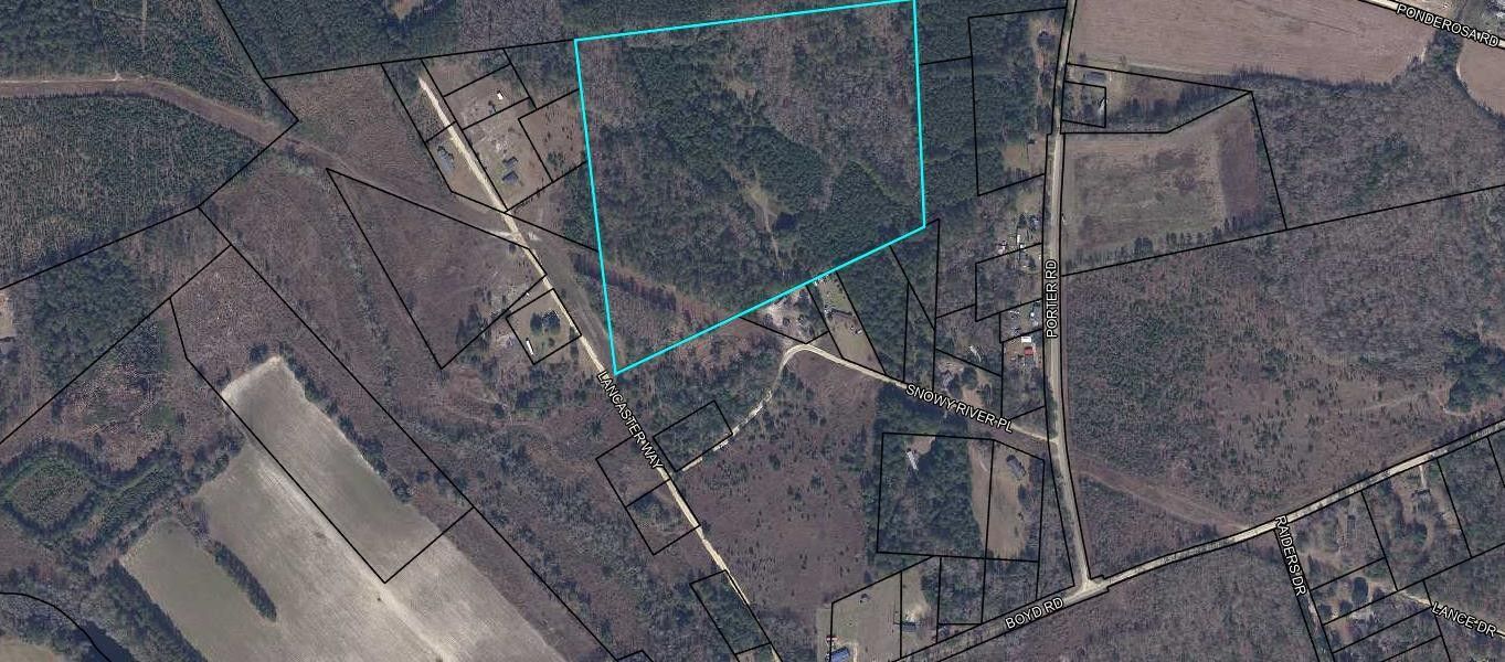 Paxville, Clarendon County, SC Undeveloped Land for sale Property ID