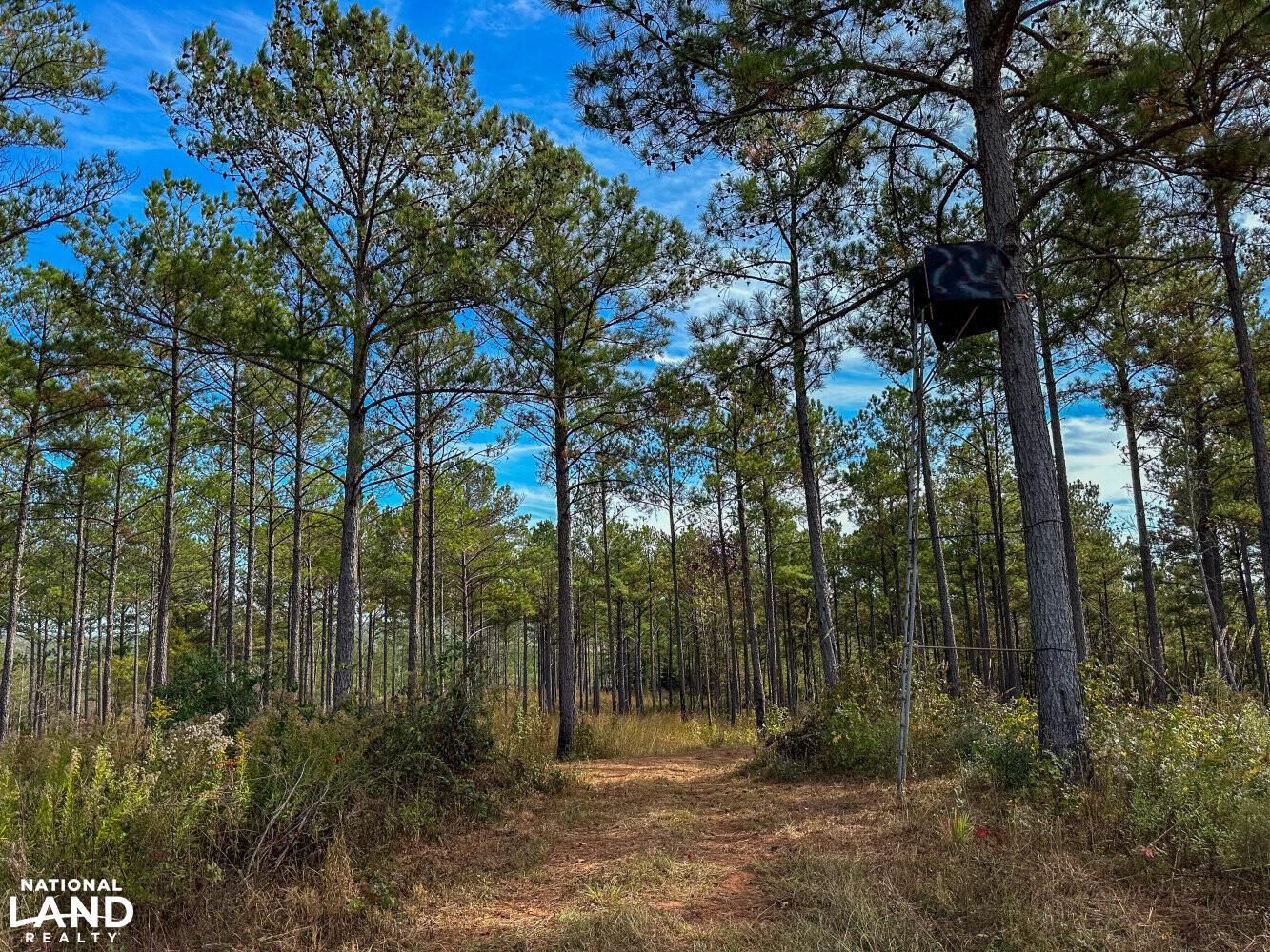 Valley Grande, Dallas County, AL Recreational Property, Timberland