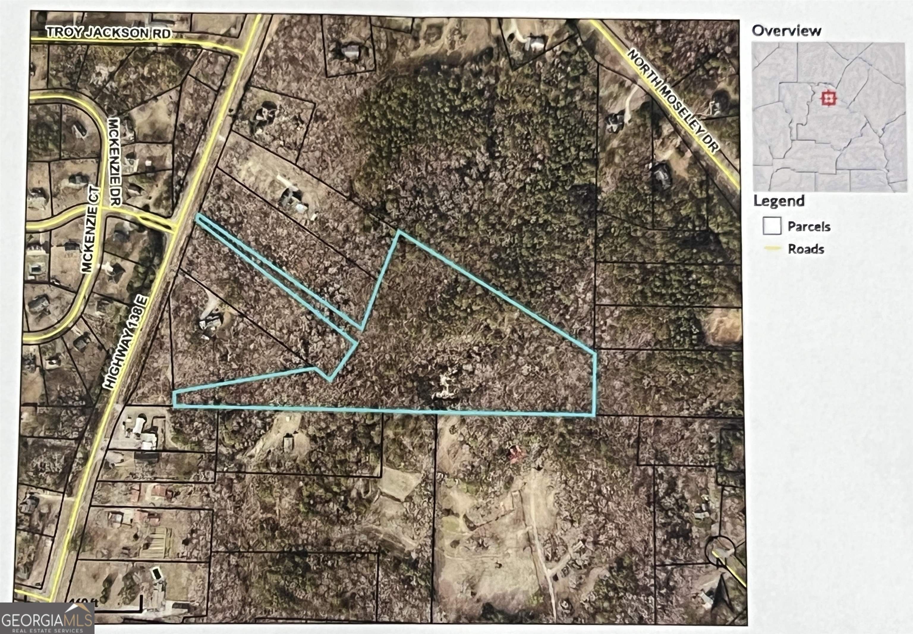 Stockbridge, Henry County, GA Undeveloped Land for sale Property ID