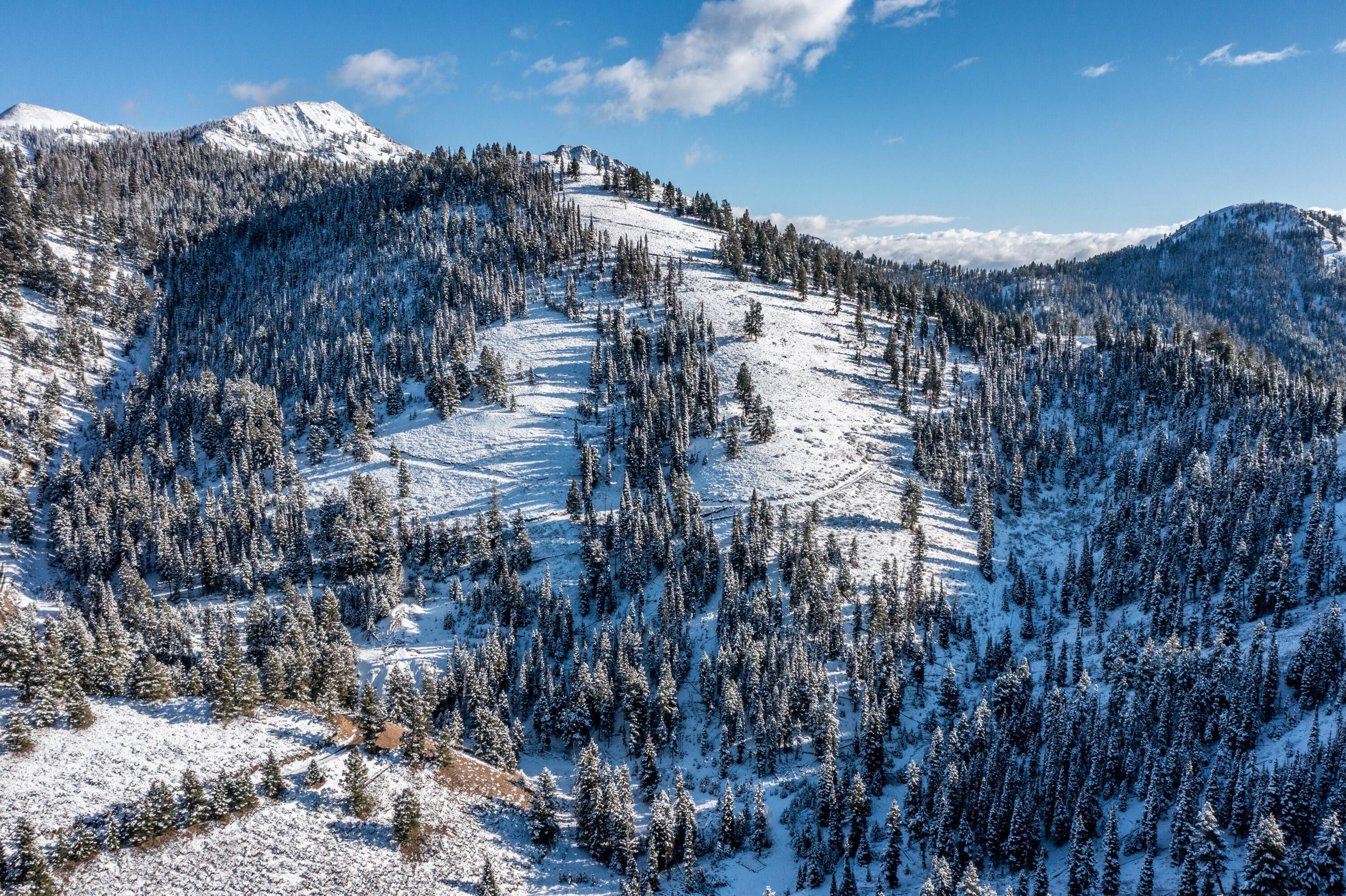 Fairfield, Camas County, ID Undeveloped Land, Lakefront Property