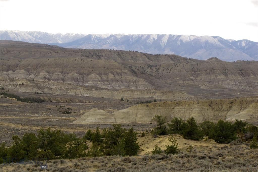 Bridger, Carbon County, MT Undeveloped Land for sale Property ID