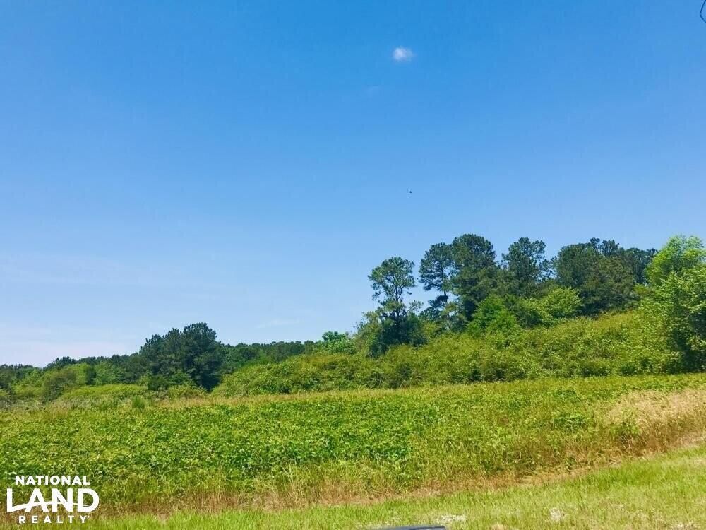 0 Oglethorpe Street West, Ellaville, GA 31806 LandWatch