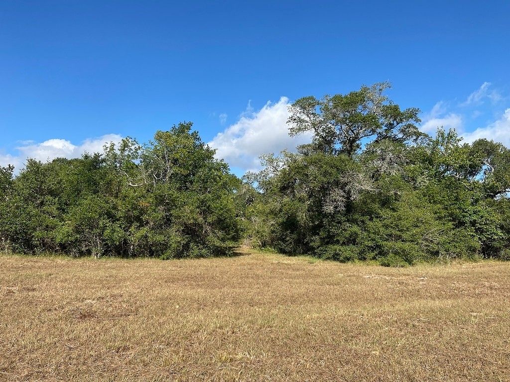 Garwood, Colorado County, TX Farms and Ranches for sale Property ID