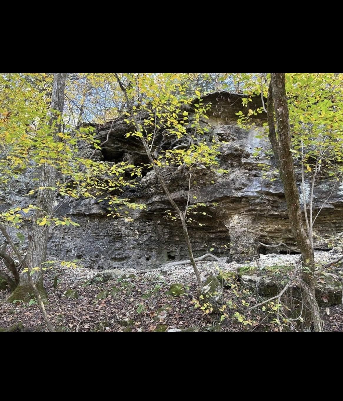 Benton, Benton County, MO Recreational Property, Timberland Property