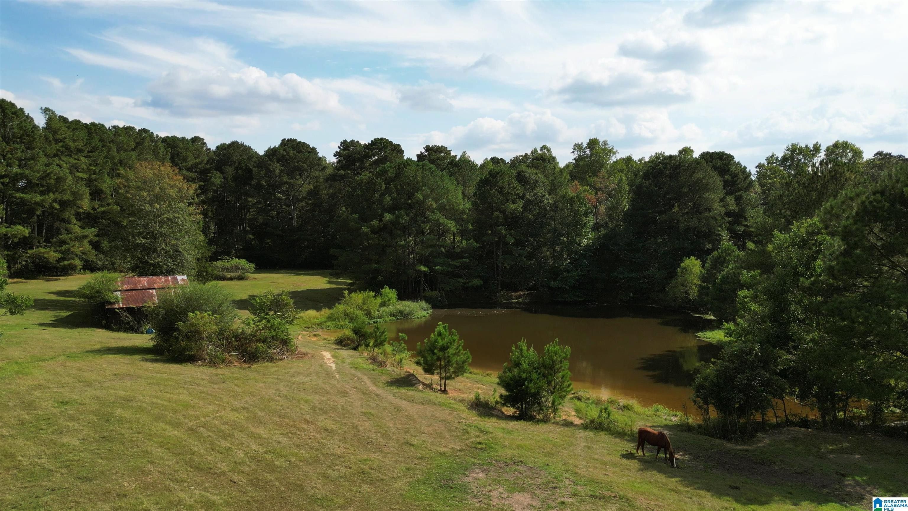 Bessemer, Jefferson County, AL House for sale Property ID 418229868