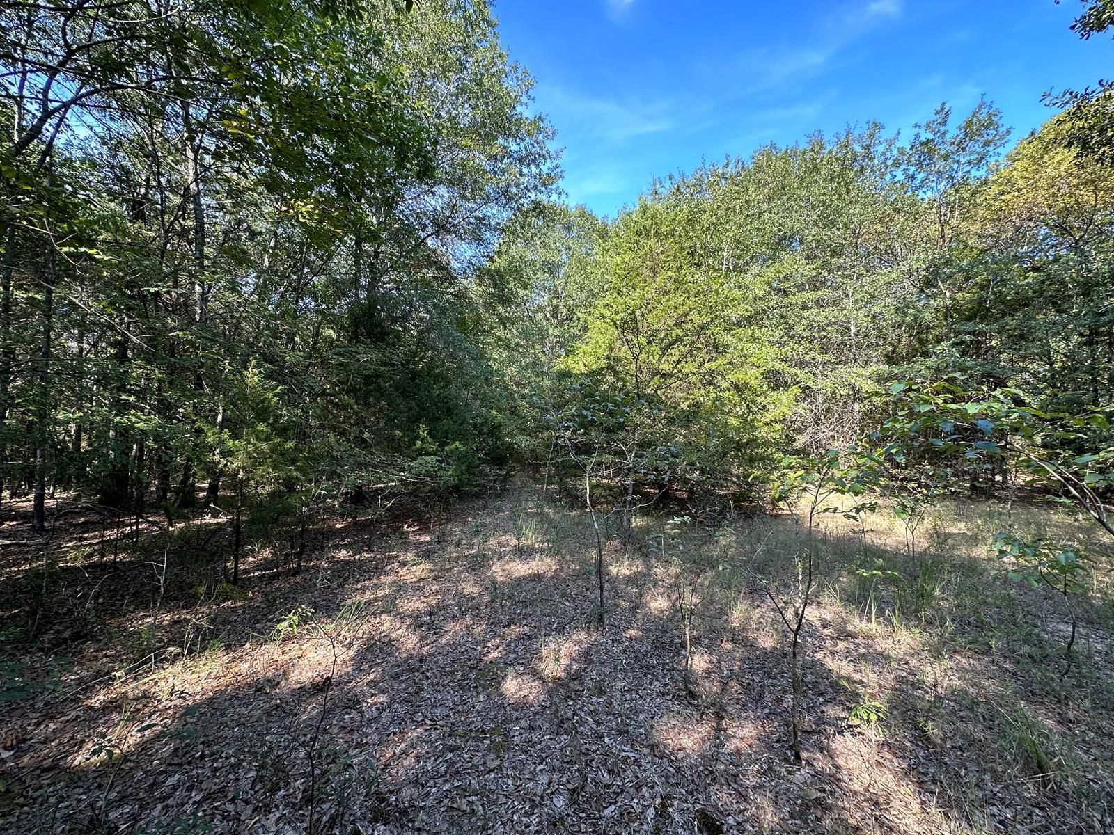 Wilburton, Latimer County, OK Hunting Property for sale Property ID