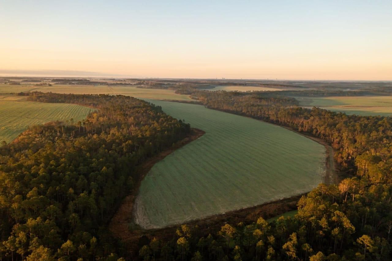 Elberta, Baldwin County, AL Farms and Ranches, Hunting Property for