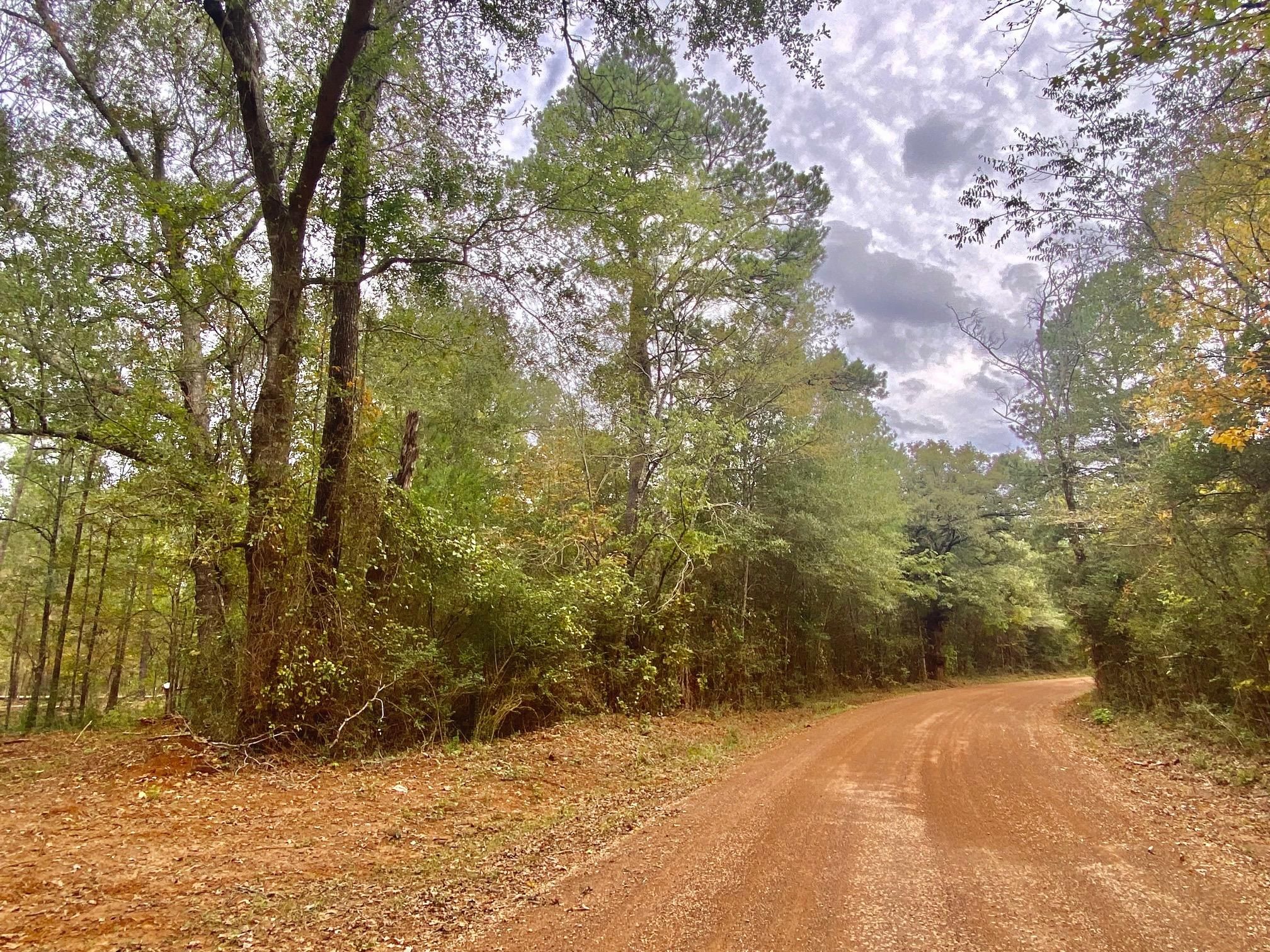 County Road 1050, Kennard, TX 75847 LandWatch