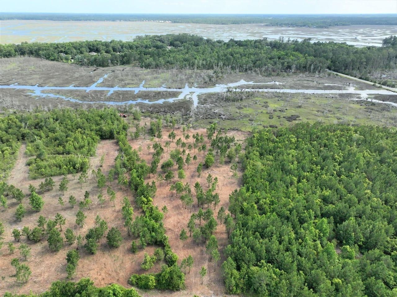 Woodbine, Camden County, GA Recreational Property for sale Property ID