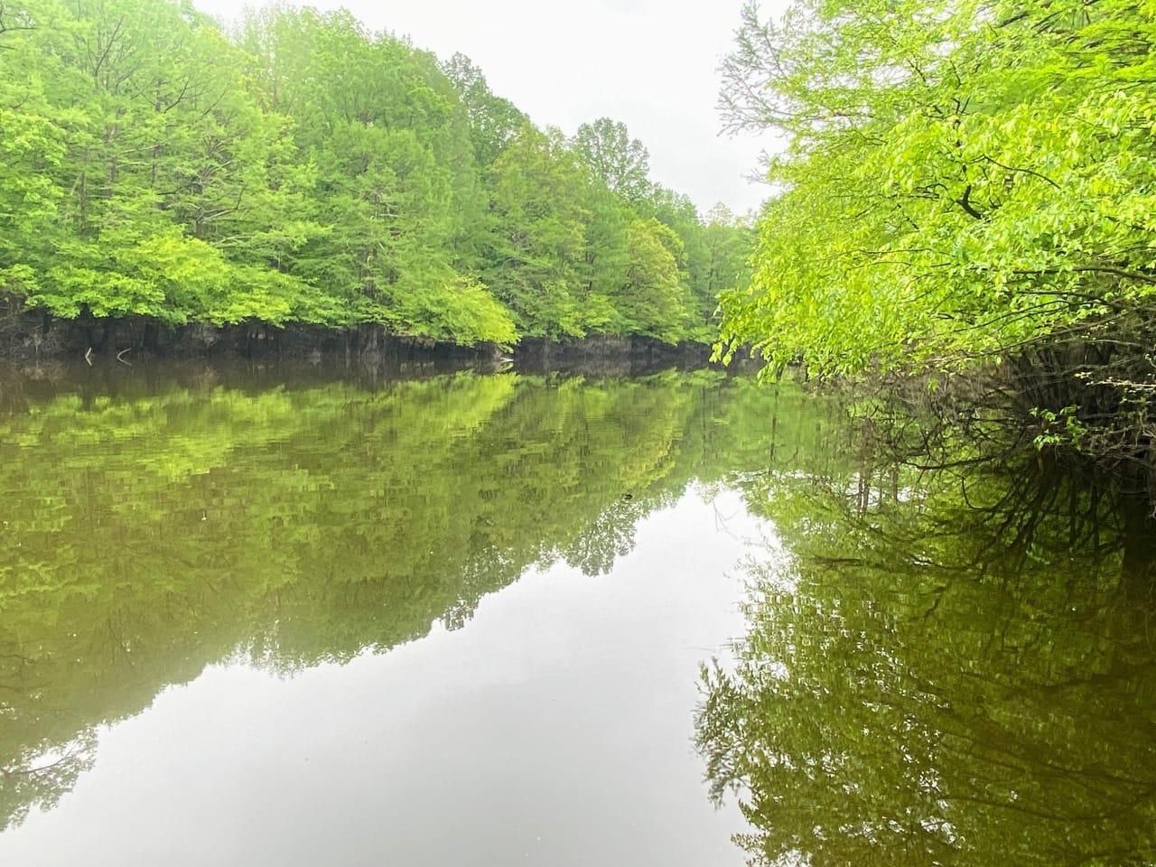 Foreman, Little River County, AR Recreational Property, Timberland