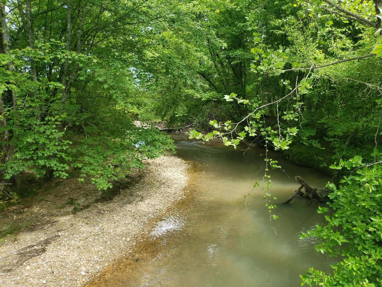 Delight, Pike County, AR Recreational Property, Timberland Property
