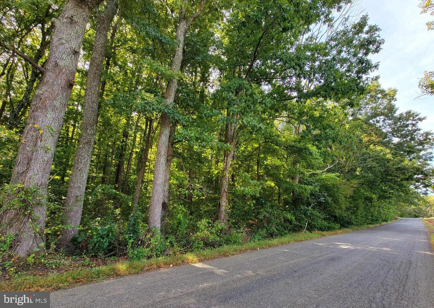 partlow-spotsylvania-county-va-farms-and-ranches-homesites-for-sale