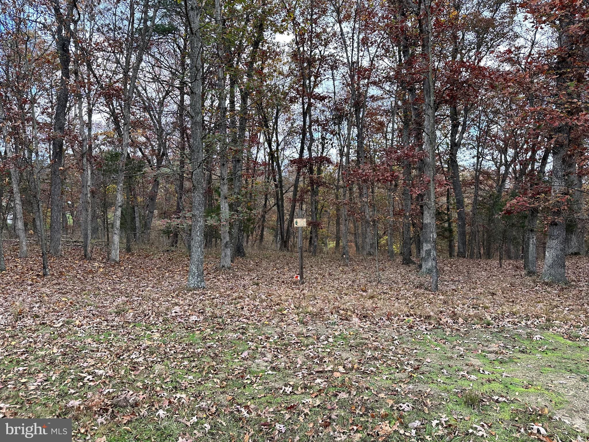 Keyser, Mineral County, WV Undeveloped Land, Homesites for sale