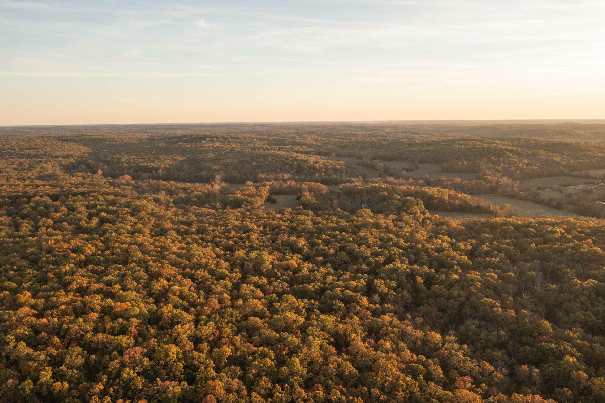 0000 SE 1200 Road, Collins, MO 64738 MLS Saint Clair / Cedar 150