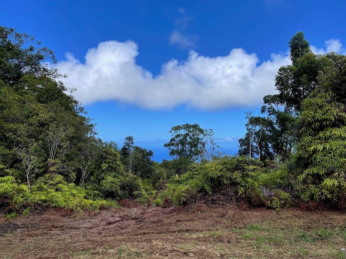 Laupahoehoe, Hawaii County, HI Undeveloped Land for sale Property ID