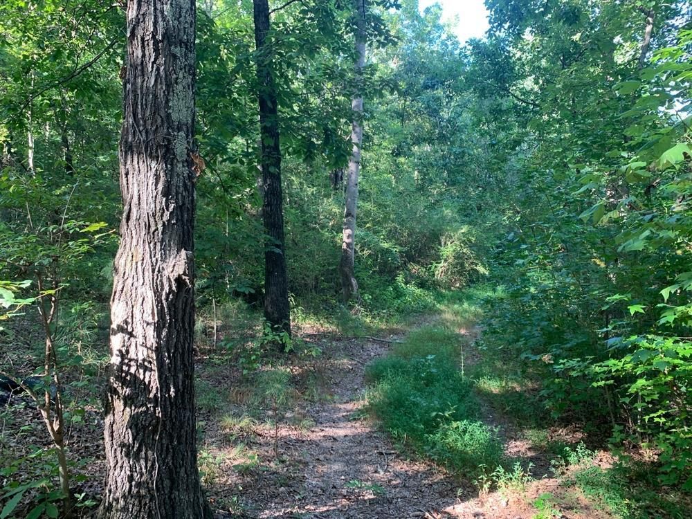 Gadsden, Etowah County, AL Undeveloped Land for sale Property ID