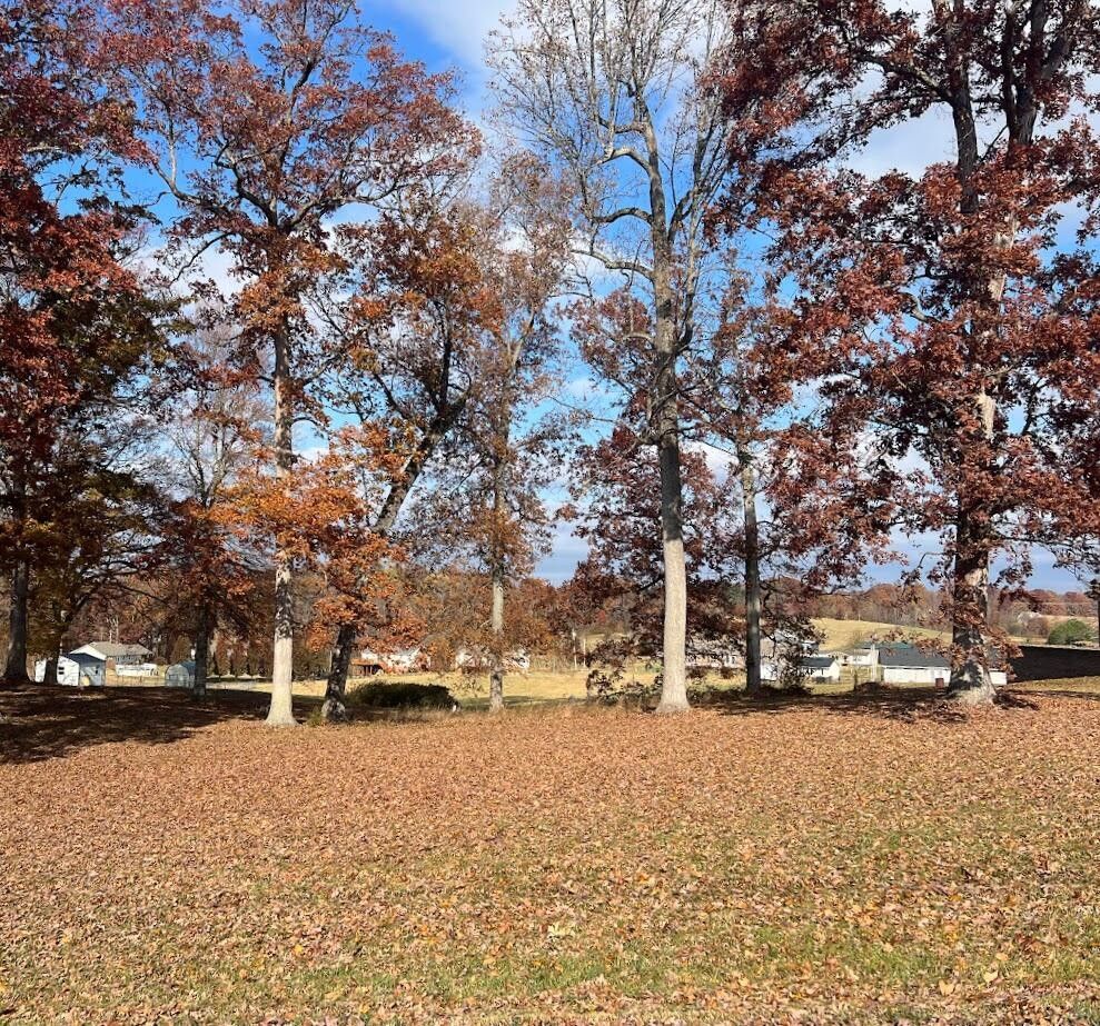 120 Townsend Road, Fall Branch, TN 37656 MLS 9959153 LandWatch