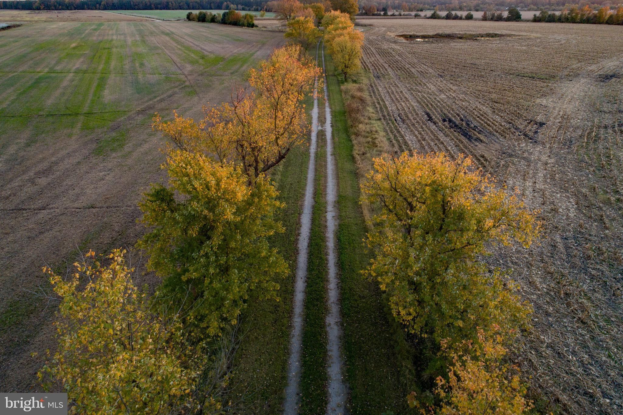 Cambridge, Dorchester County, MD Farms and Ranches, House for sale