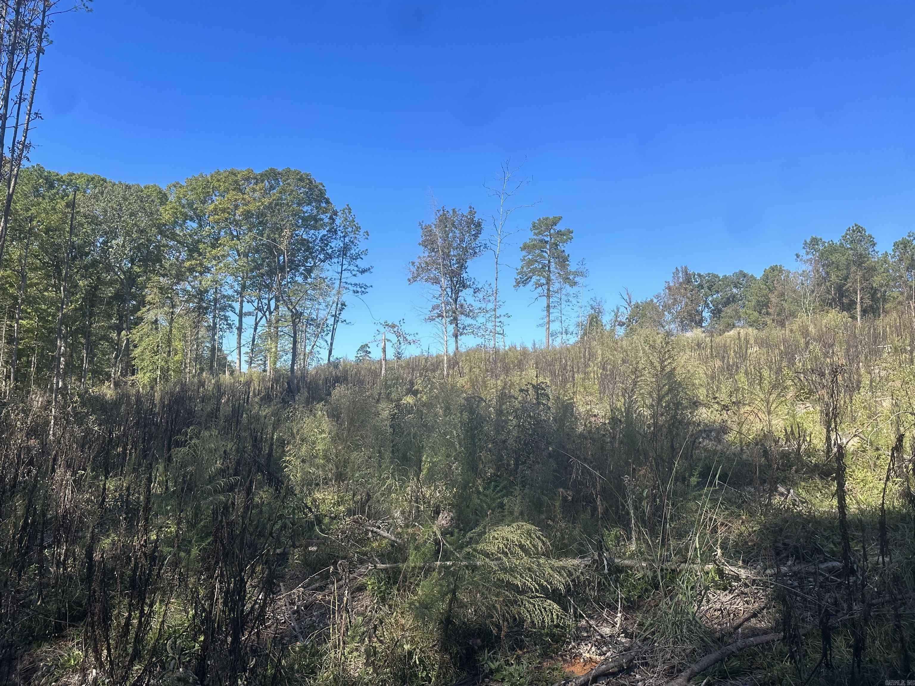 Bluff City, Nevada County, AR Undeveloped Land for sale Property ID
