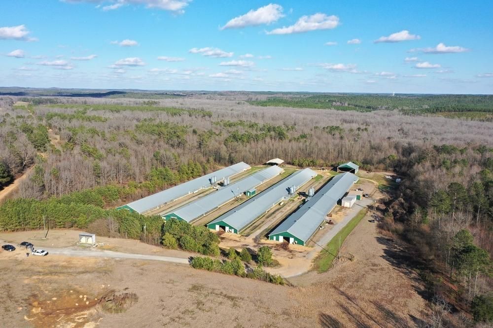 Gordo, Pickens County, AL Farms and Ranches, Commercial Property for