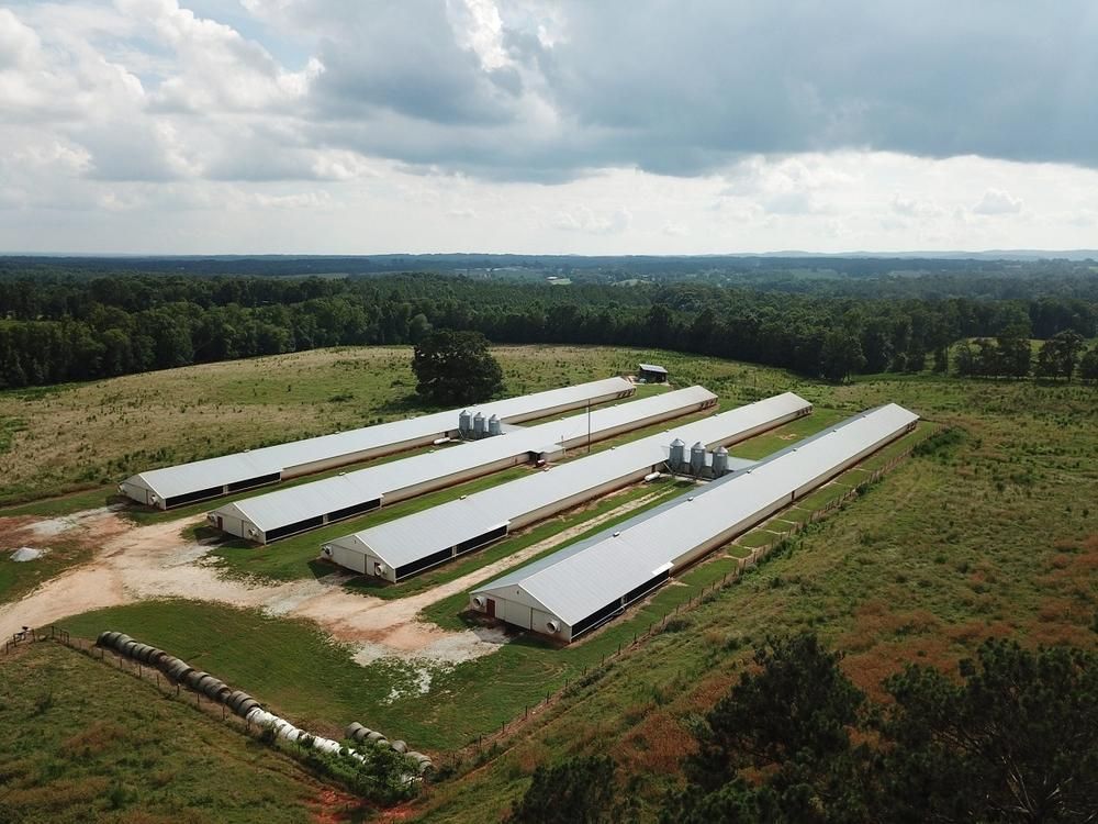 Ranburne, Cleburne County, AL Farms and Ranches, Commercial Property