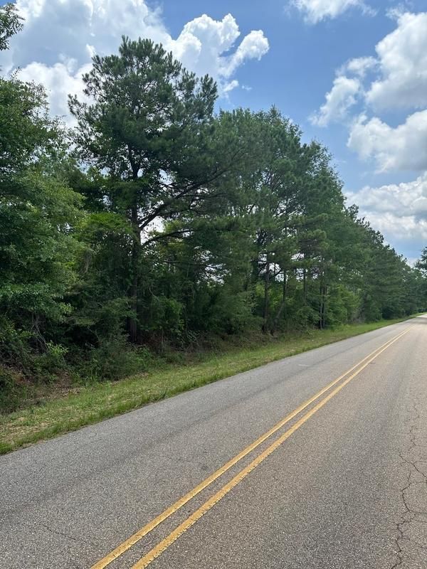Mckenzie, Covington County, AL Undeveloped Land for sale Property ID