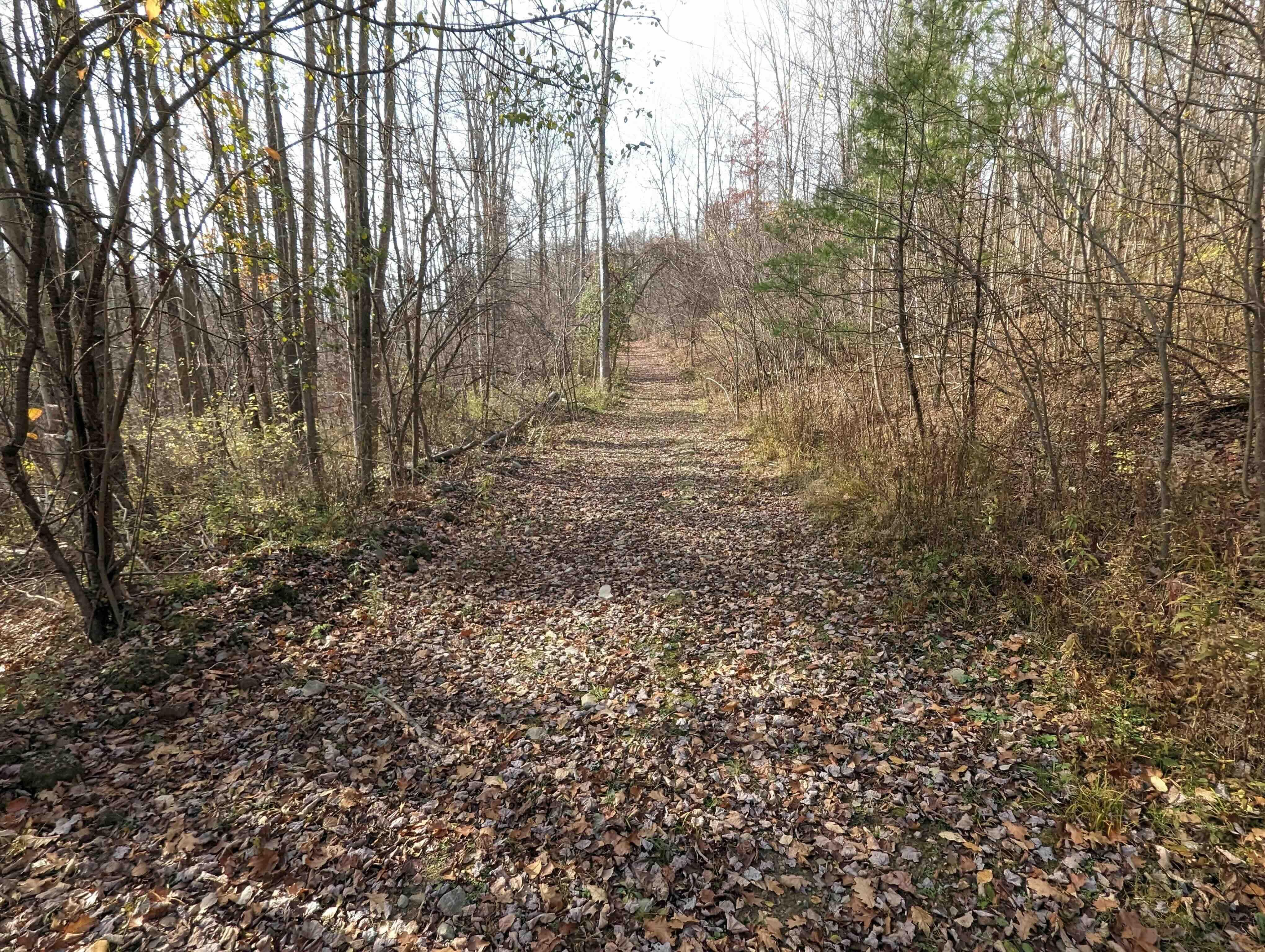 Campbell, Steuben County, NY Timberland Property, Hunting Property for