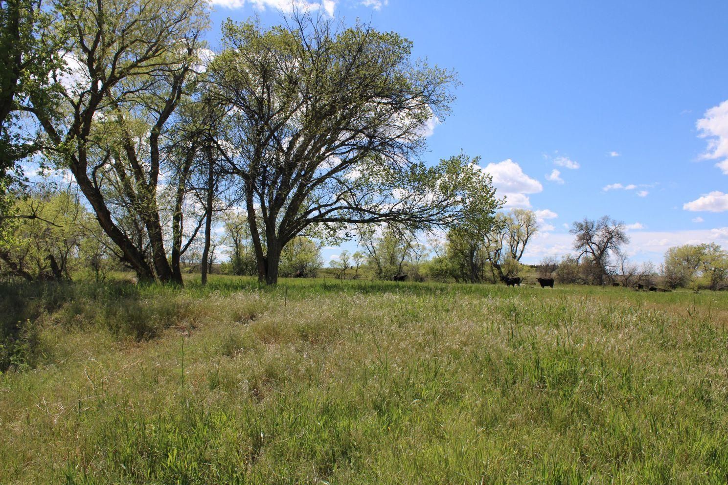 Crawford, NE 69339, Crawford, NE 69339 LandWatch